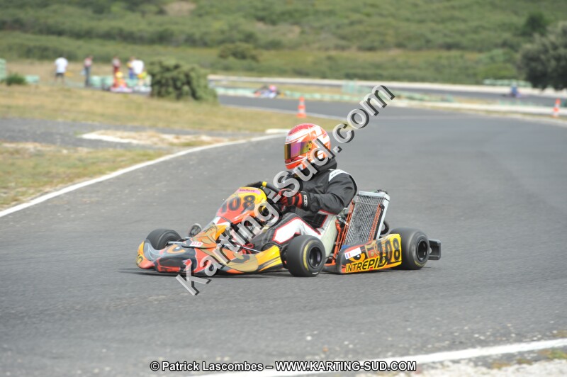 DSC (3549).JPG